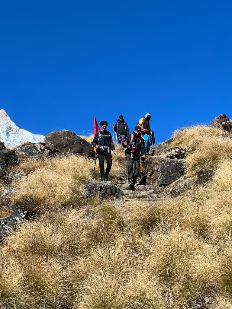 Trekkers descending stone steps on a grassy hillside during the ABC trek