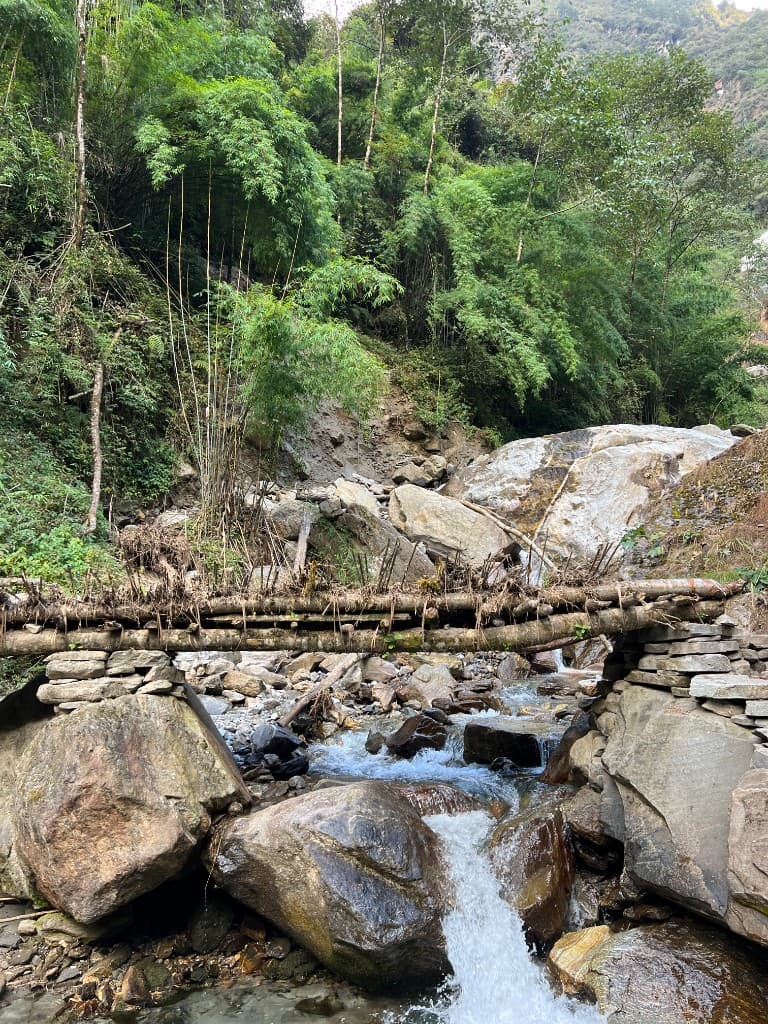 Rustic wooden log bridge over a mountain stream in bamboo forest on the ABC trek