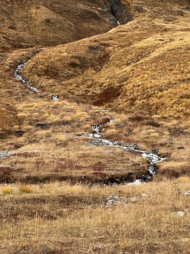 Winding icy stream through golden alpine grass near Machhapuchhre Base Camp