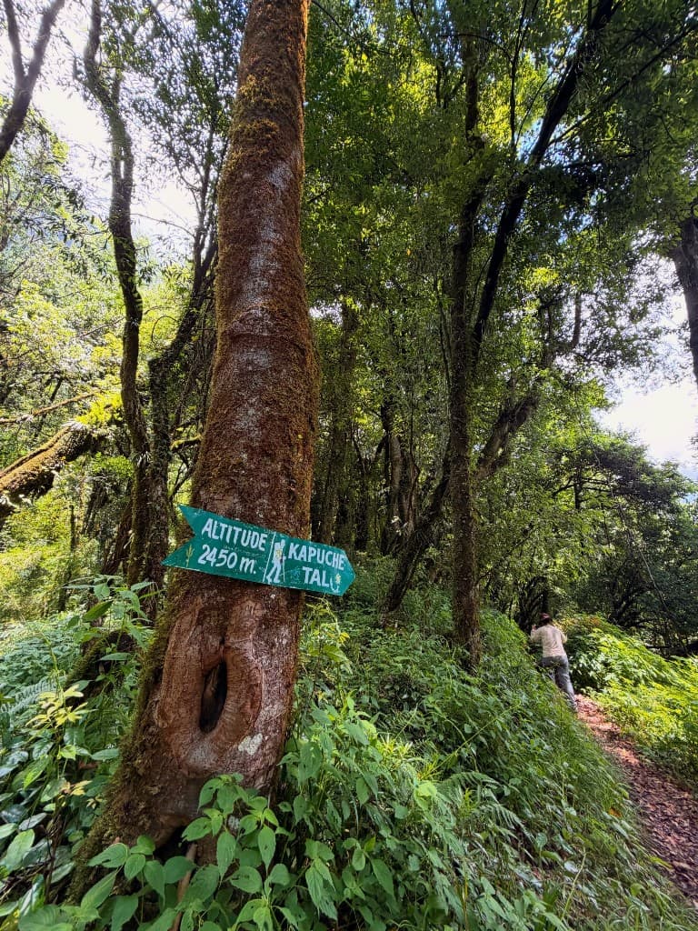 Trail sign to Kapuche Tal at 2,450 metres