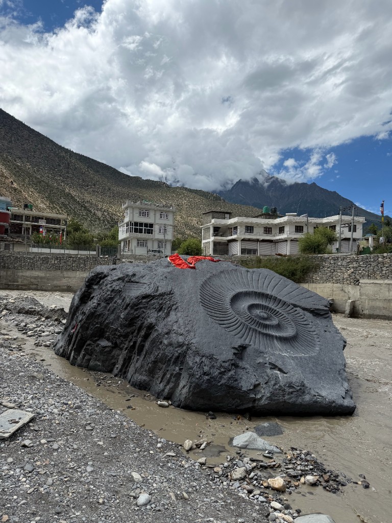 Carved ammonite fossil rock in the Kali Gandaki riverbed at Jomsom