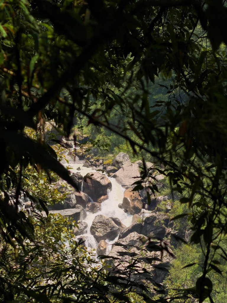 Mountain stream through lush forest along the Kapuche trail
