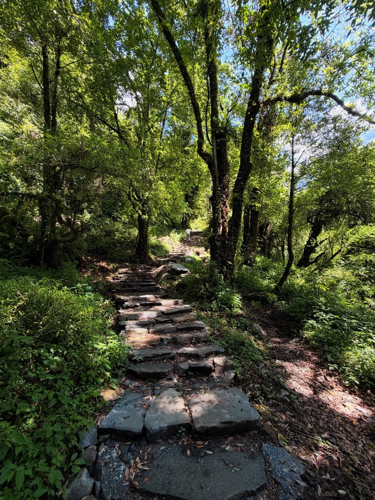 Stone-stepped forest trail on the Kapuche Glacier Lake trek